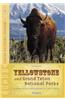 Yellowstone and Grand Teton National Parks