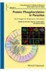Protein Phosphorylation in Parasites: Novel Targets for Antiparasitic Intervention