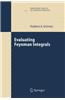 Evaluating Feynman Integrals