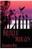 Broken Wings