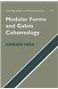 Modular Forms and Galois Cohomology
