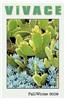 V I V A C E