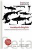 Hooktooth Dogfish