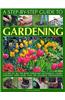 Step-by-step Guide to Gardening