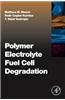 Polymer Electrolyte Fuel Cell Degradation