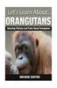 Orangutans: Amazing Pictures and Facts about Orangutans