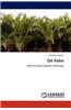 Oil Palm