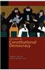 The Limits of Constitutional Democracy