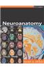 Neuroanatomy