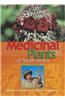 Medicinal Plants of South Africa