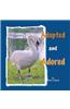 Adopted and Adored: Duck Ponder Series