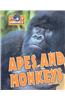 Apes and Monkeys