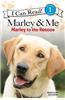 Marley & Me: Marley to the Rescue!