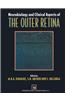 Neurobiology and Clinical Aspects of the Outer Retina