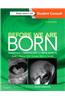 Before We Are Born: Essentials of Embryology and Birth Defects