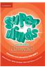 Super Minds American English Level 4 Classware and Interactive DVD-ROM