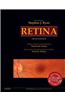 Retina