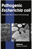 Pathogenic Escherichia Coli: Molecular and Cellular Microbiology