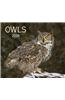 Owls 2016 Calendar