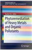 Phytoremediation and Biofortification