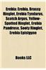 Erebia: Brassy Ringlet, Erebia Tyndarus, Scotch Argus, Yellow-Spotted Ringlet, Erebia Pandrose, Sooty Ringlet, Erebia Epistgyn