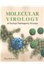 Molecular Virology of Human Pathogenic Viruses