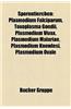 Sporentierchen: Plasmodium Falciparum, Toxoplasma Gondii, Plasmodium Vivax, Plasmodium Malariae, Plasmodium Knowlesi, Plasmodium Ovale