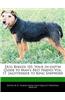 Dog Breeds 101: Your In-Depth Guide to Man's Best Friend Vol. 17, Jagdterrier to King Shepherd