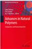 Advances in Natural Polymers: Composites and Nanocomposites
