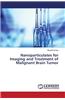 Nanoparticulates for Imaging and Treatment of Malignant Brain Tumor
