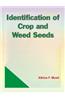 Identification of Crop and Weed Seeds