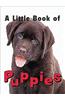 A Little Book of Puppies