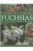 How to Grow Fuchsias