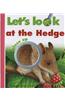 Let's Look at the Hedge