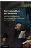 International Law as a Profession