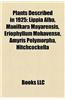 Plants Described in 1925: Lippia Alba, Manilkara Mayarensis, Eriophyllum Mohavense, Amyris Polymorpha, Hitchcockella