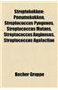 Streptokokken: Pneumokokken, Streptococcus Pyogenes, Streptococcus Mutans, Streptococcus Anginosus, Streptococcus Agalactiae