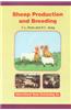 Sheep Production and Breeding