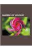 Mammals of Uruguay: Akodon Azarae, Bunny Rat, Burmeister's Porpoise, Capybara, Colocolo, Common Yellow-Toothed Cavy, Coypu, Crab-Eating Fo