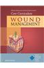 Wound, Ostomy and Continence Nurses Society(r) Core Curriculum: Wound Management