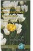 Identity and Second Language Learning: Culture, Inquiry, and Dialogic Activity in Educational Contexts (Hc)