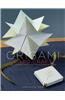 Origami Card Craft: 30 Clever Cards and Envelopes to Fold