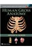 Human Gross Anatomy