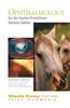 Equine Ophthalmology for the Equine Practitioner