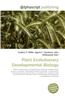 Plant Evolutionary Developmental Biology