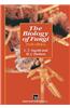 The Biology of Fungi