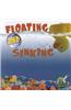 Floating and Sinking