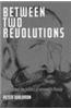 Between Two Revolutions: Stolypin and the Politics of Renewal in Russia
