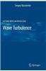 Wave Turbulence