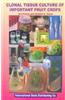 Clonal Tissue Culture of Important Fruit Crops